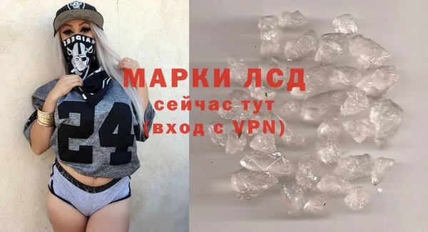 гидра Белая Холуница