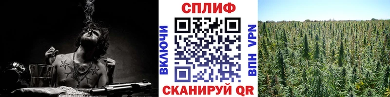 kraken как войти  Черноголовка  Каннабис марихуана 